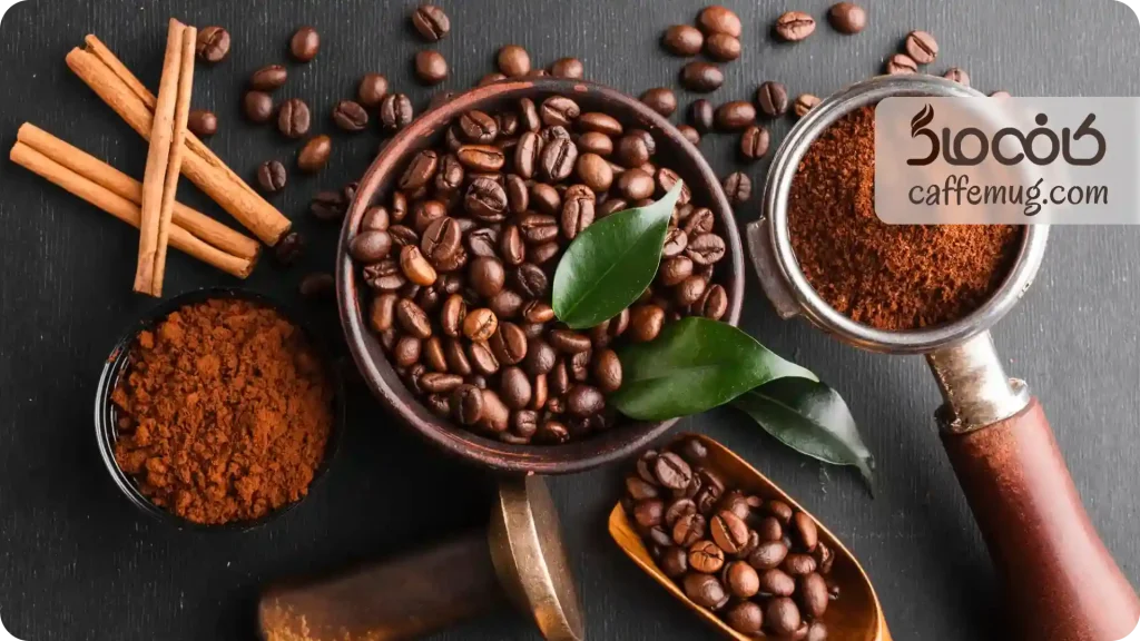 دانه قهوه چیست؟