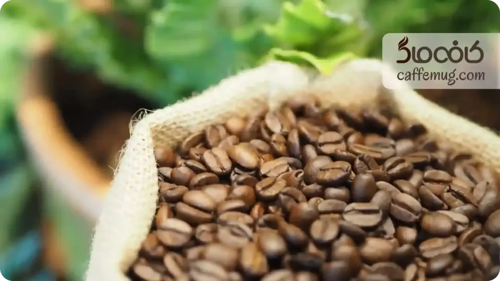 تفاله قهوه برای کود گیاهان