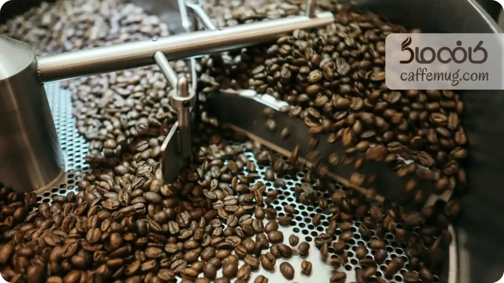 مراحل فرایند برداشت قهوه
